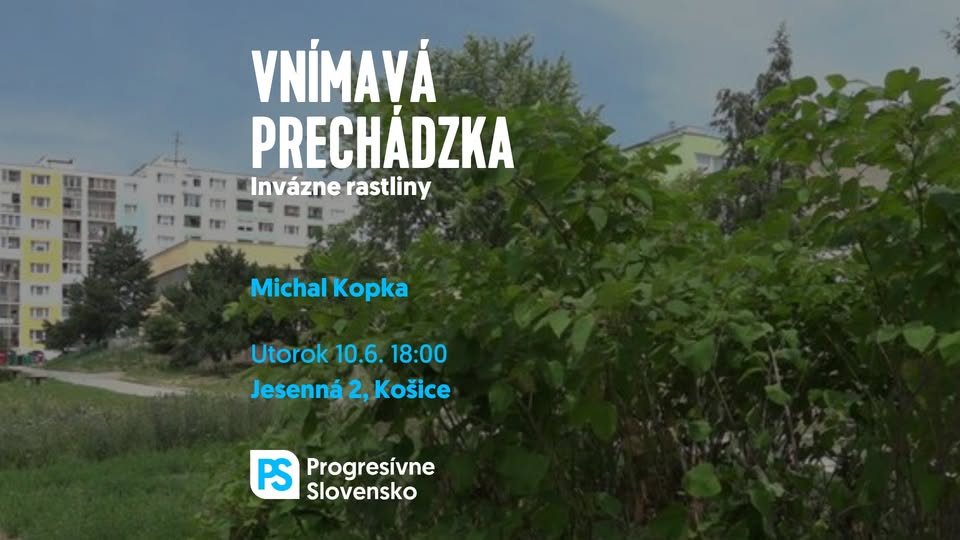 Vnímavá prechádzka: Invázne rastliny