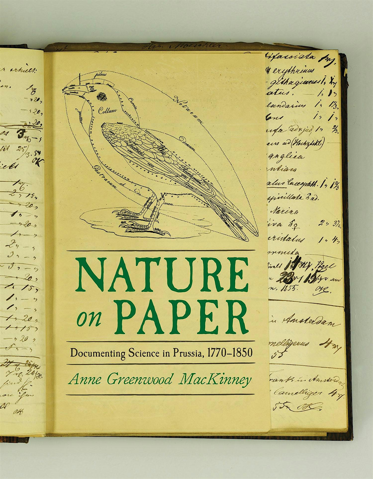 Buchvorstellung | Nature on Paper: Anne Greenwood MacKinney im Gespräch