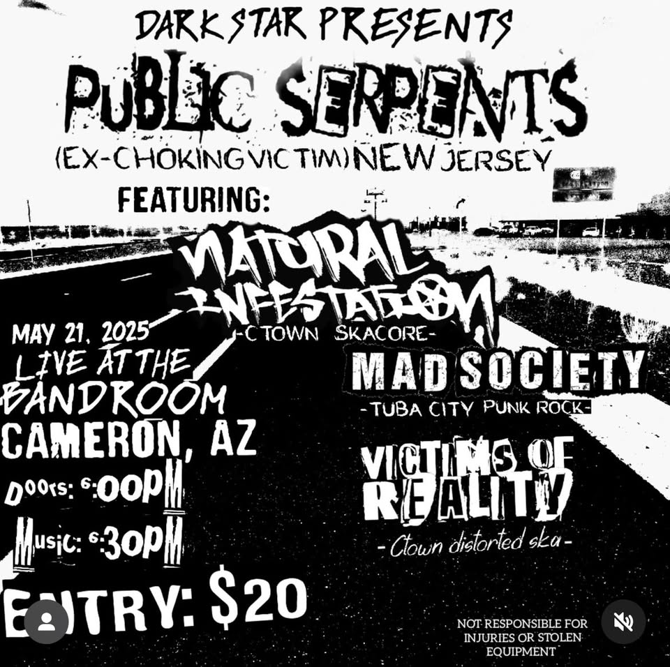 Public Serpents in Cameron AZ at the Bandroom