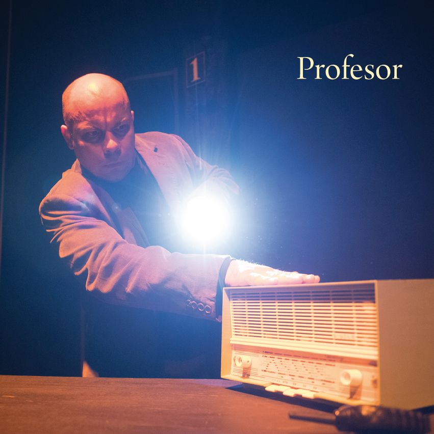 Divadlo Actores: Profesor