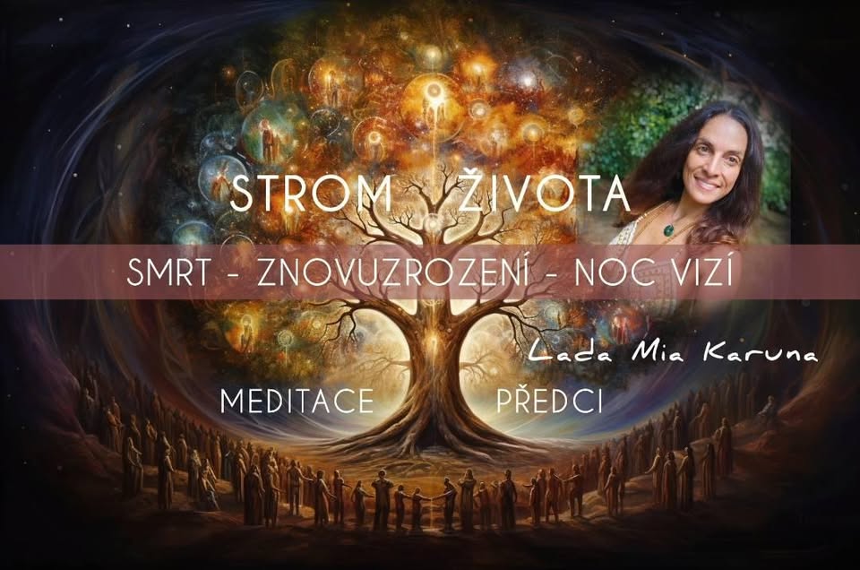 OBSAZENO - STROM ŽIVOTA II. - Smrt - Znovuzrození - Noc vizí - Meditace Předci - Cacao a Rape Ceremony