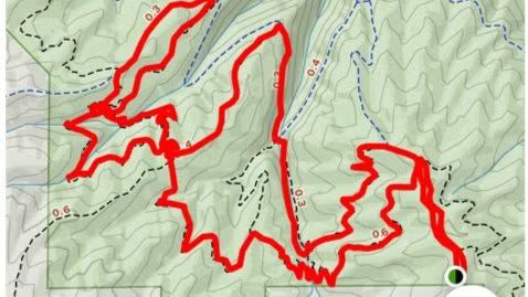 Forest Park - Wildwood,Maple,Firelane,Nature Loop Evening Hike - WEDNESDAY!