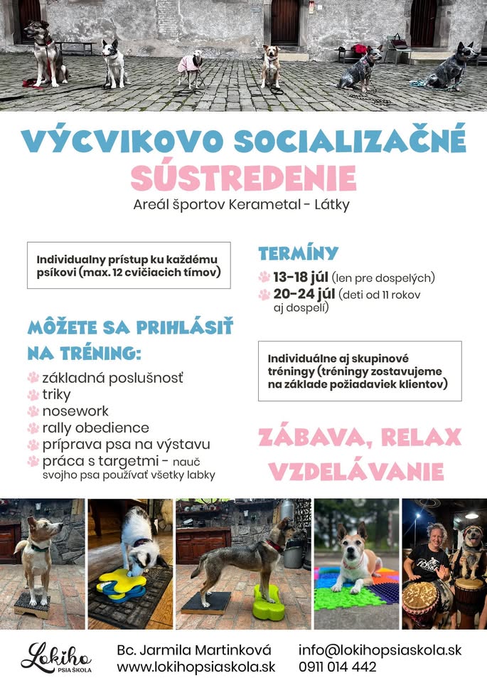 Výcvikovo socializačné sústredenie