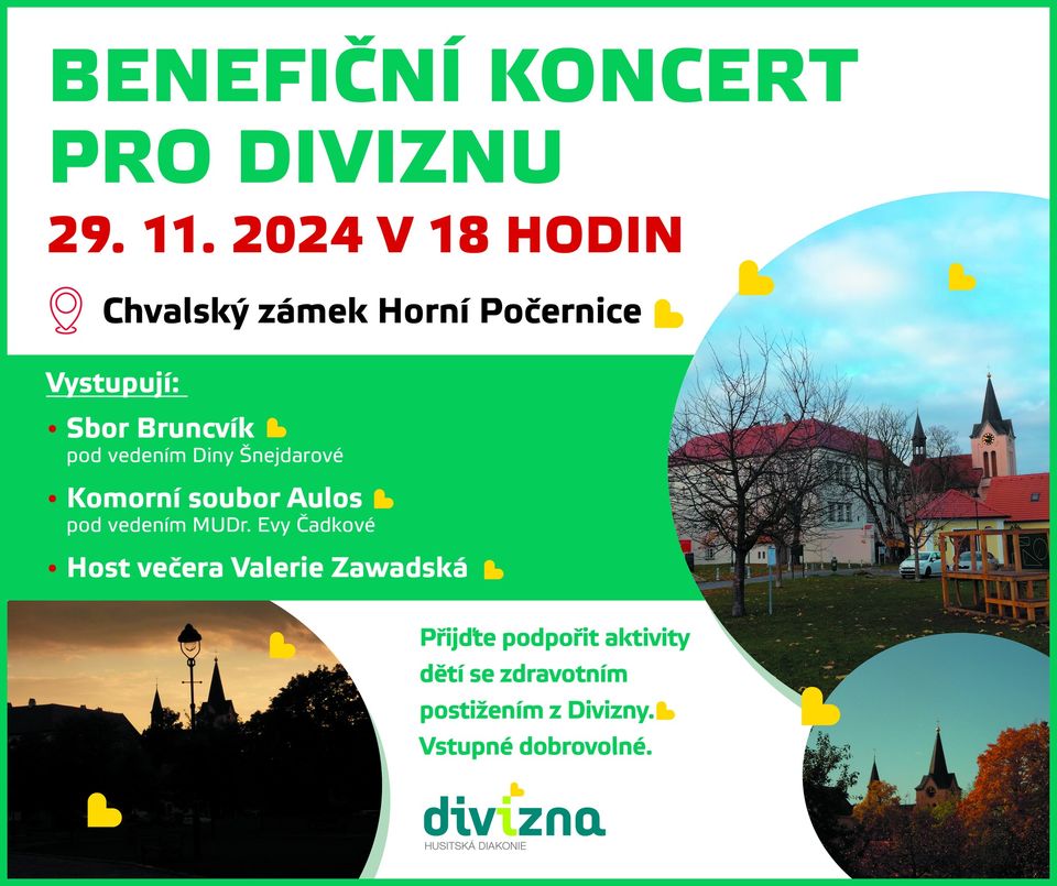 Benefiční koncert pro Diviznu