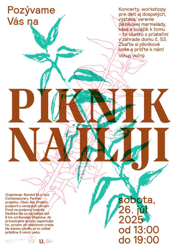 Piknik na Iliji