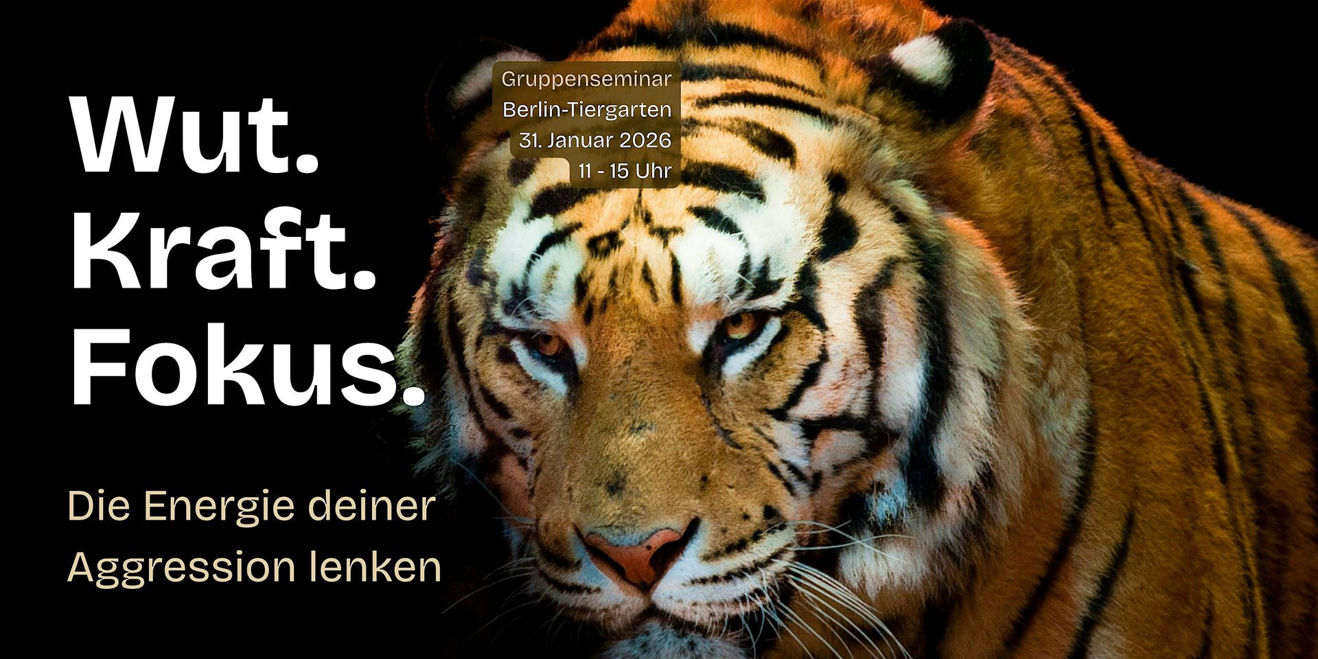 Wut. Kraft. Fokus. – Die Energie deiner Aggression lenken