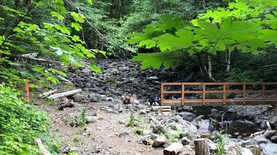 Rainy Costal Range Hike- Elk Creek Trail