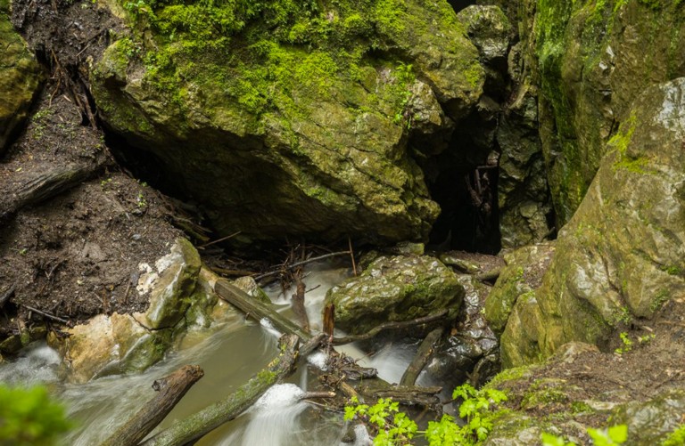 Ultratrail a dálkový pochod Lesnickým Slavínem 2025