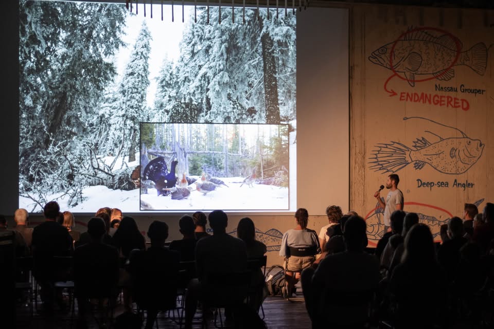 Pecha Kucha Night - Zelený špeciál