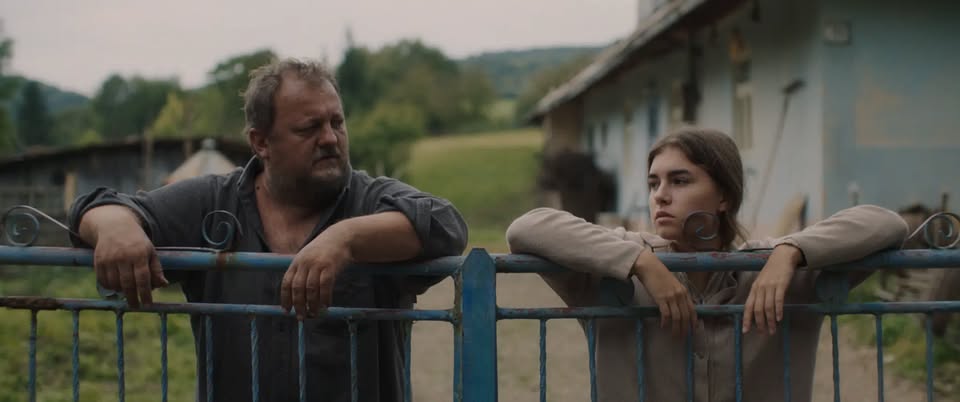 Letné kino na Amfiku: POTOPA