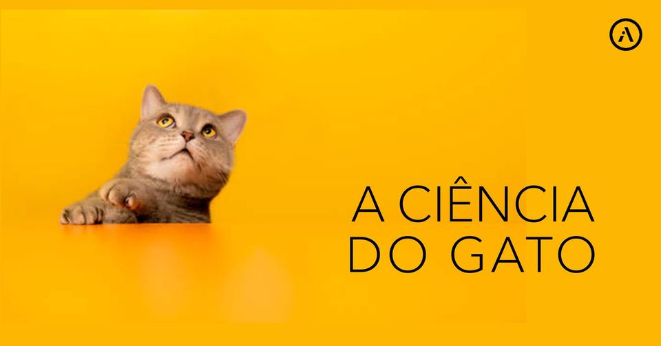 A ciência do gato: Ciclo de seminários