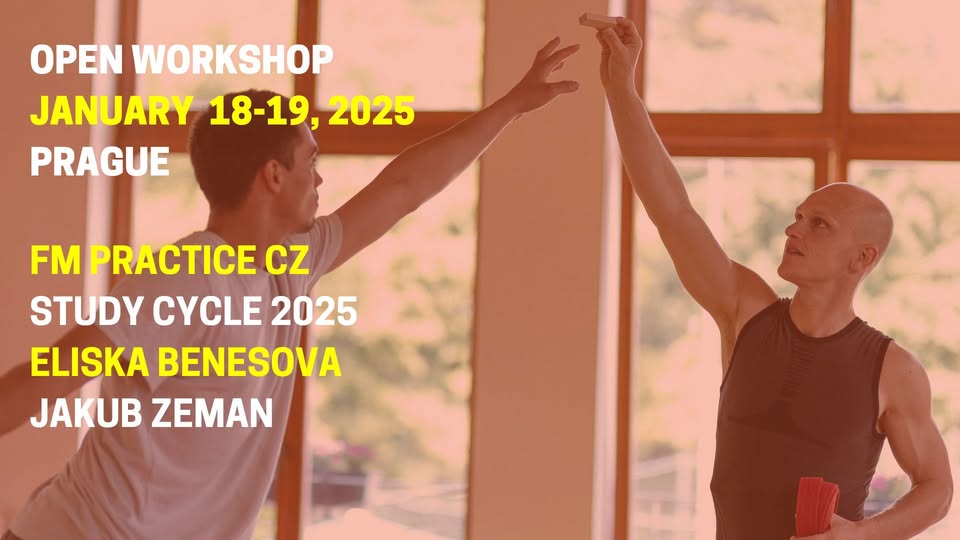 Open Workshop January - FM Practice CZ