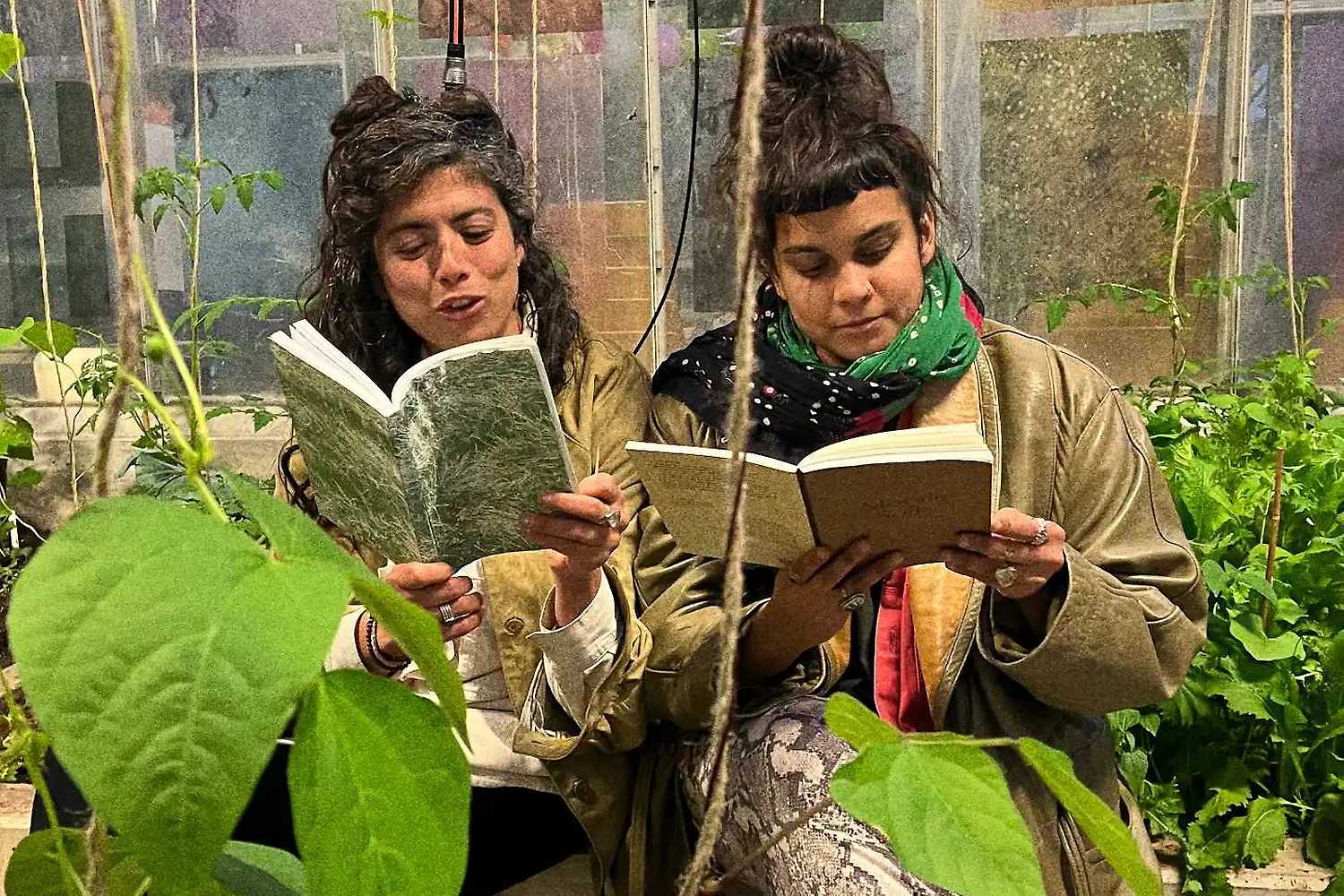 Free Radicals: Semínka solidarity