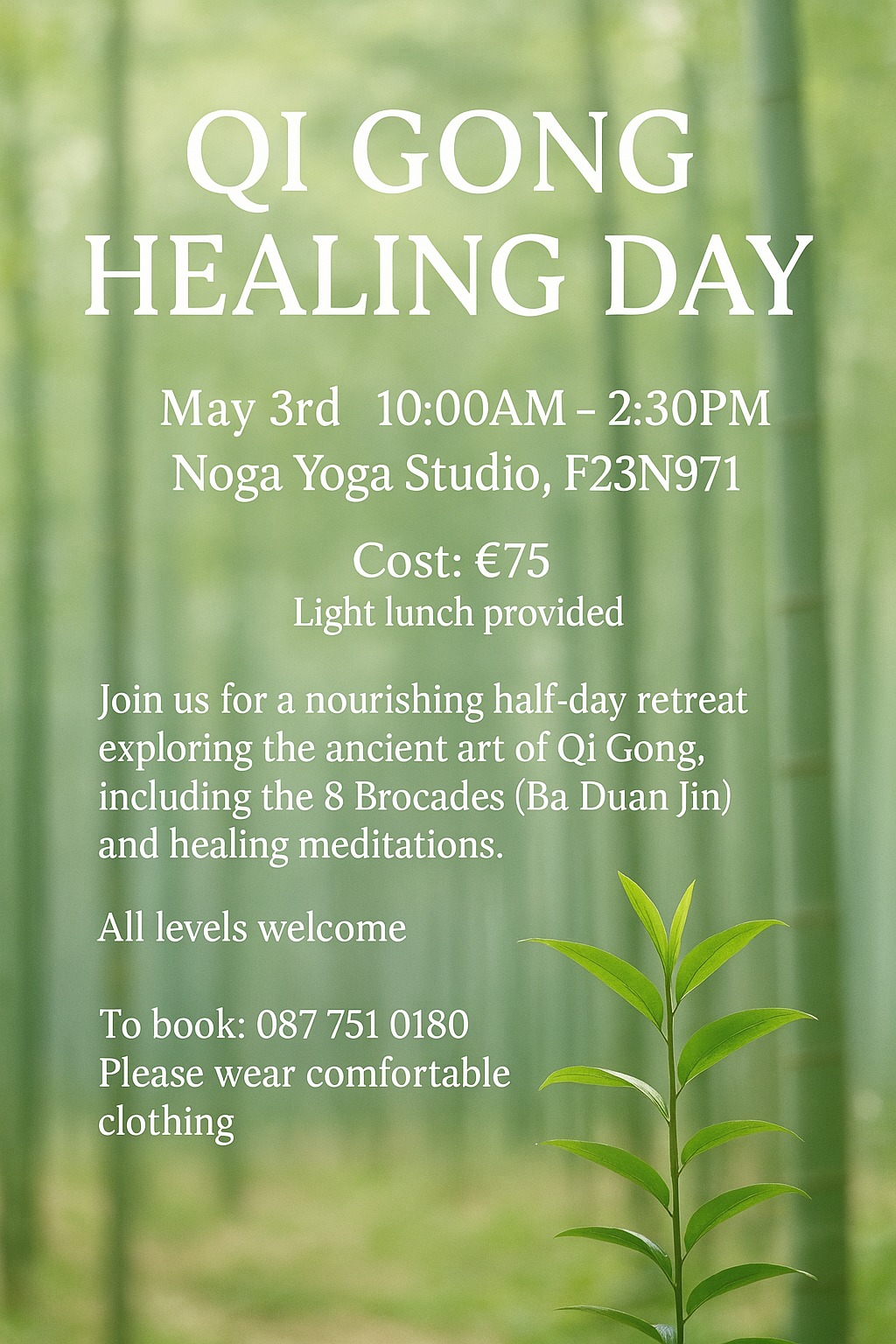 Qi Gong training in Castlebar