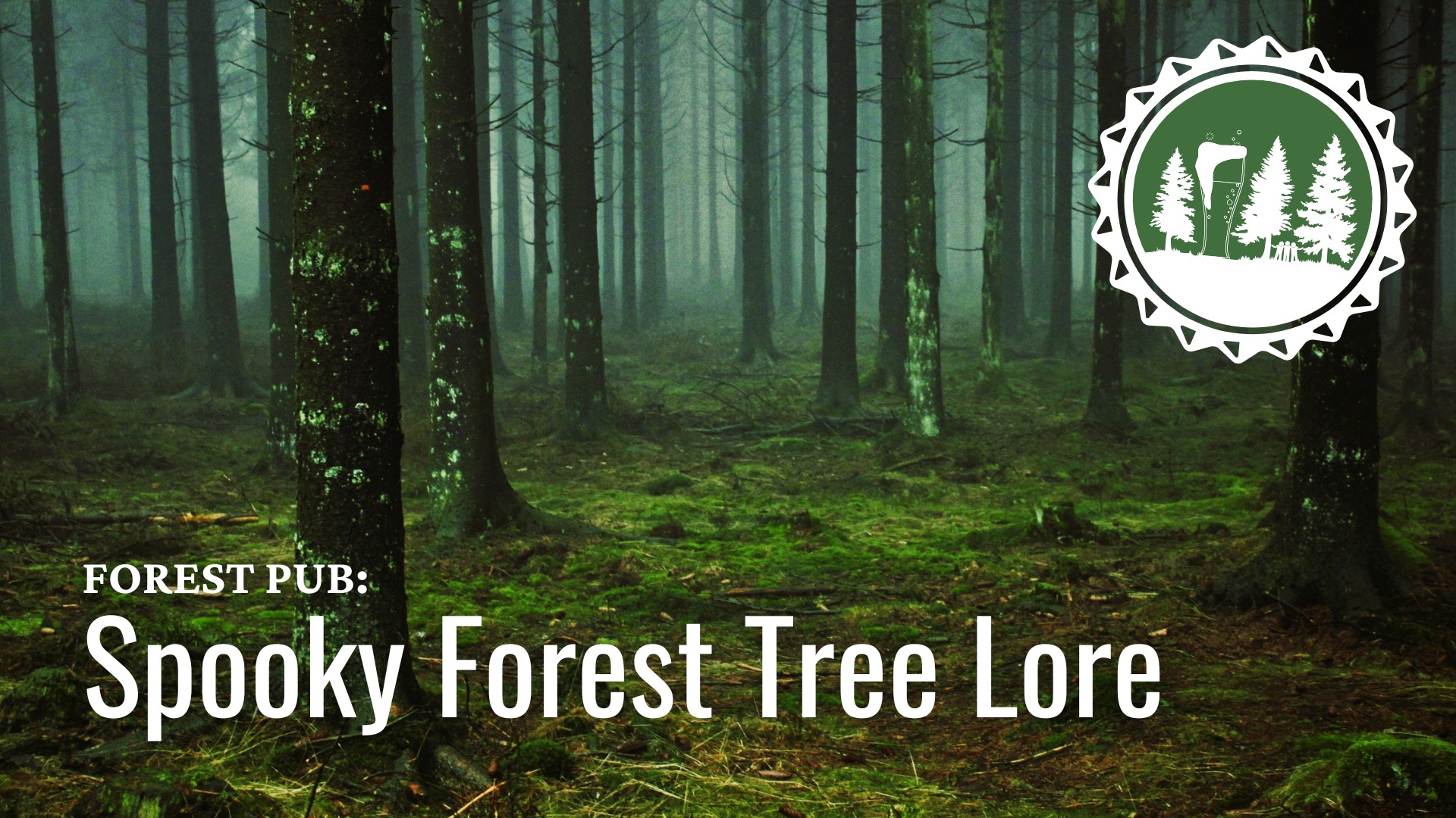 Forest Pub: Spooky Forest Tree Lore