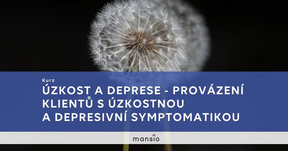 Kurz Mansio:  ÚZKOST A DEPRESE - PROVÁZENÍ KLIENTŮ S ÚZKOSTNOU A DEPRESIVNÍ SYMPTOMATIKOU