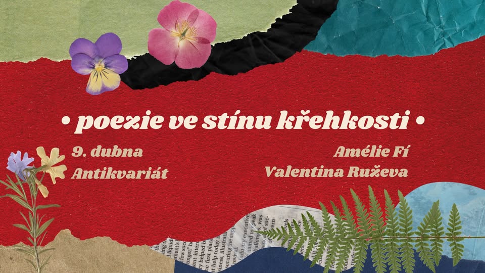 • poezie ve stínu křehkosti •