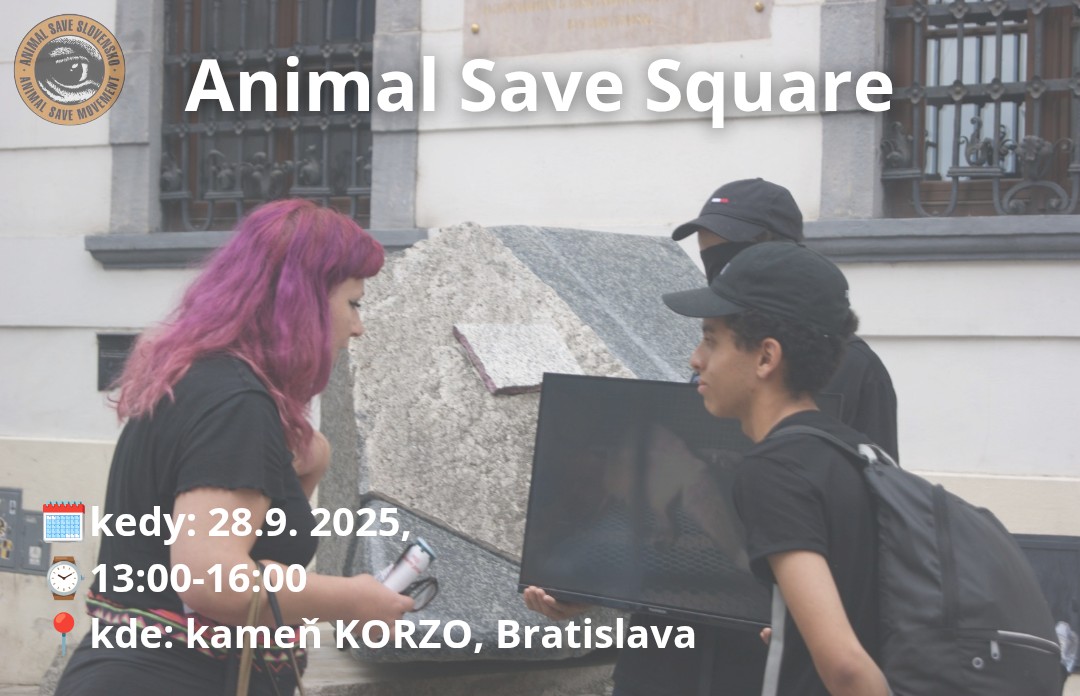 Animal Save Square + vegan dinner after