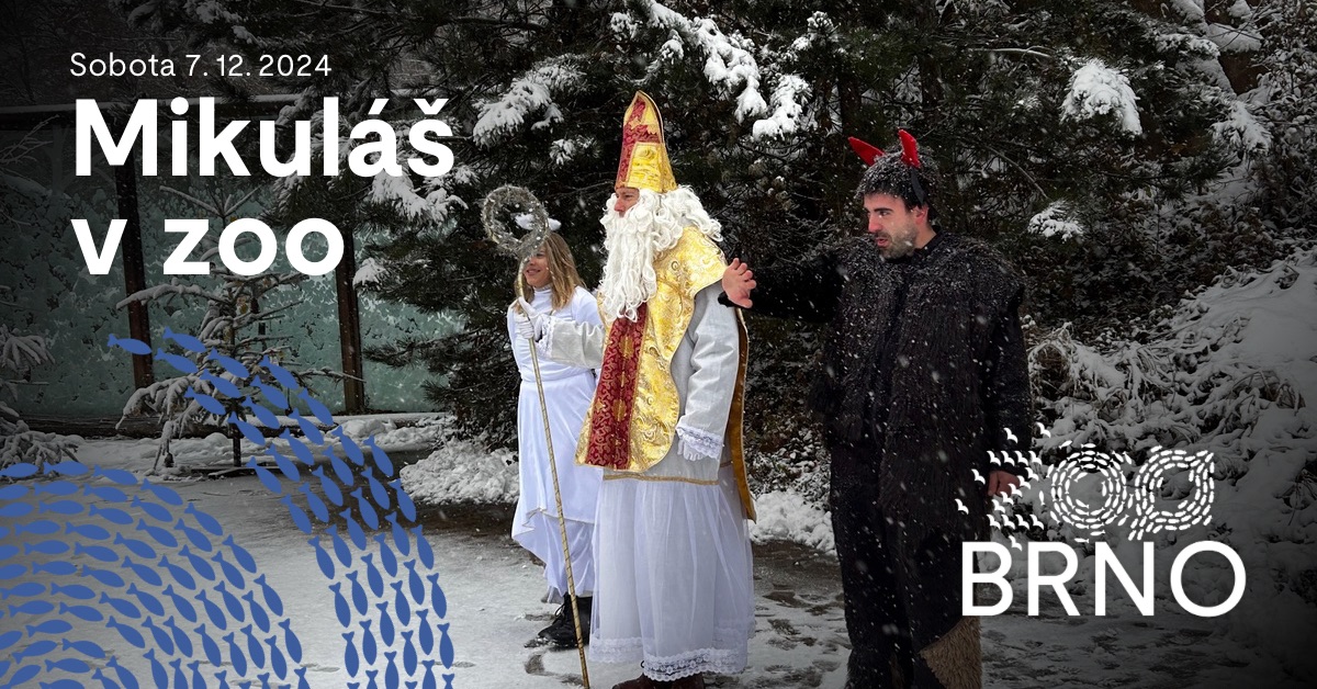Mikuláš v zoo