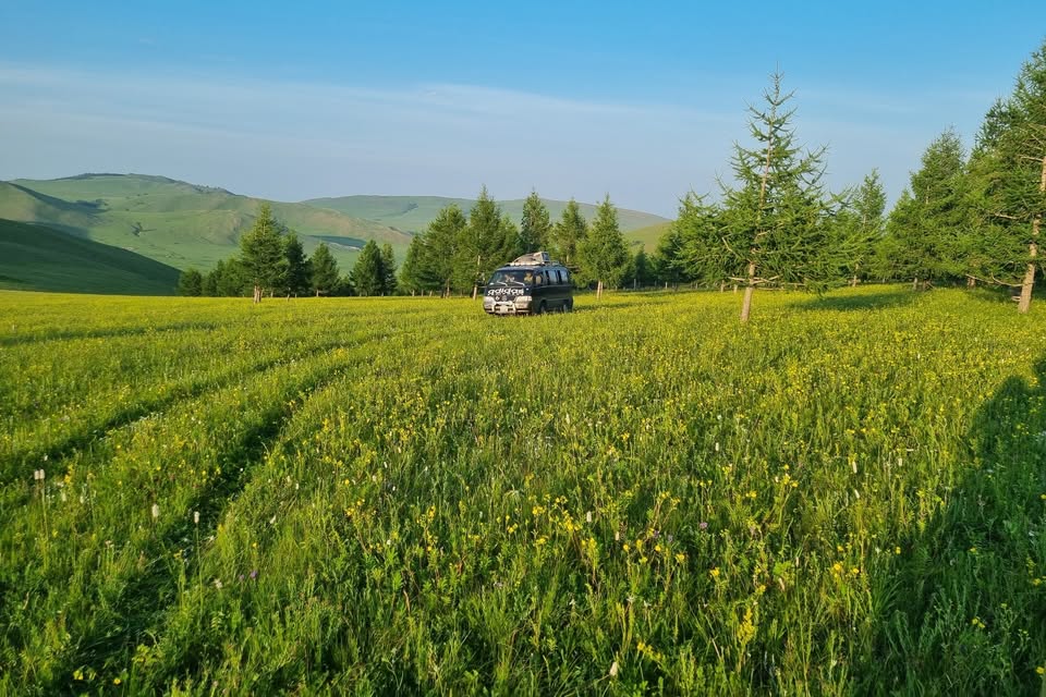Scientific Conference Applied Research for Sustainable Forest Management in Mongolia (REFORM)