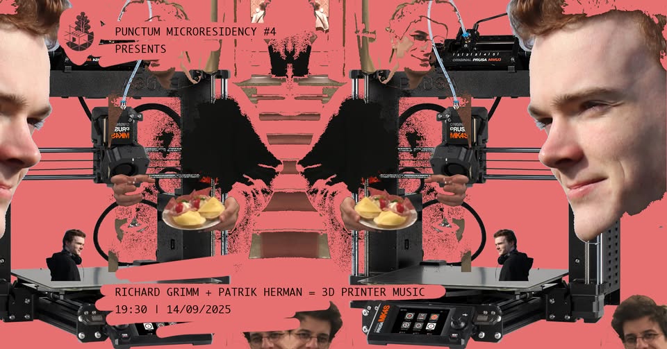 Richard Grimm + Patrik Herman = 3D Printer Music