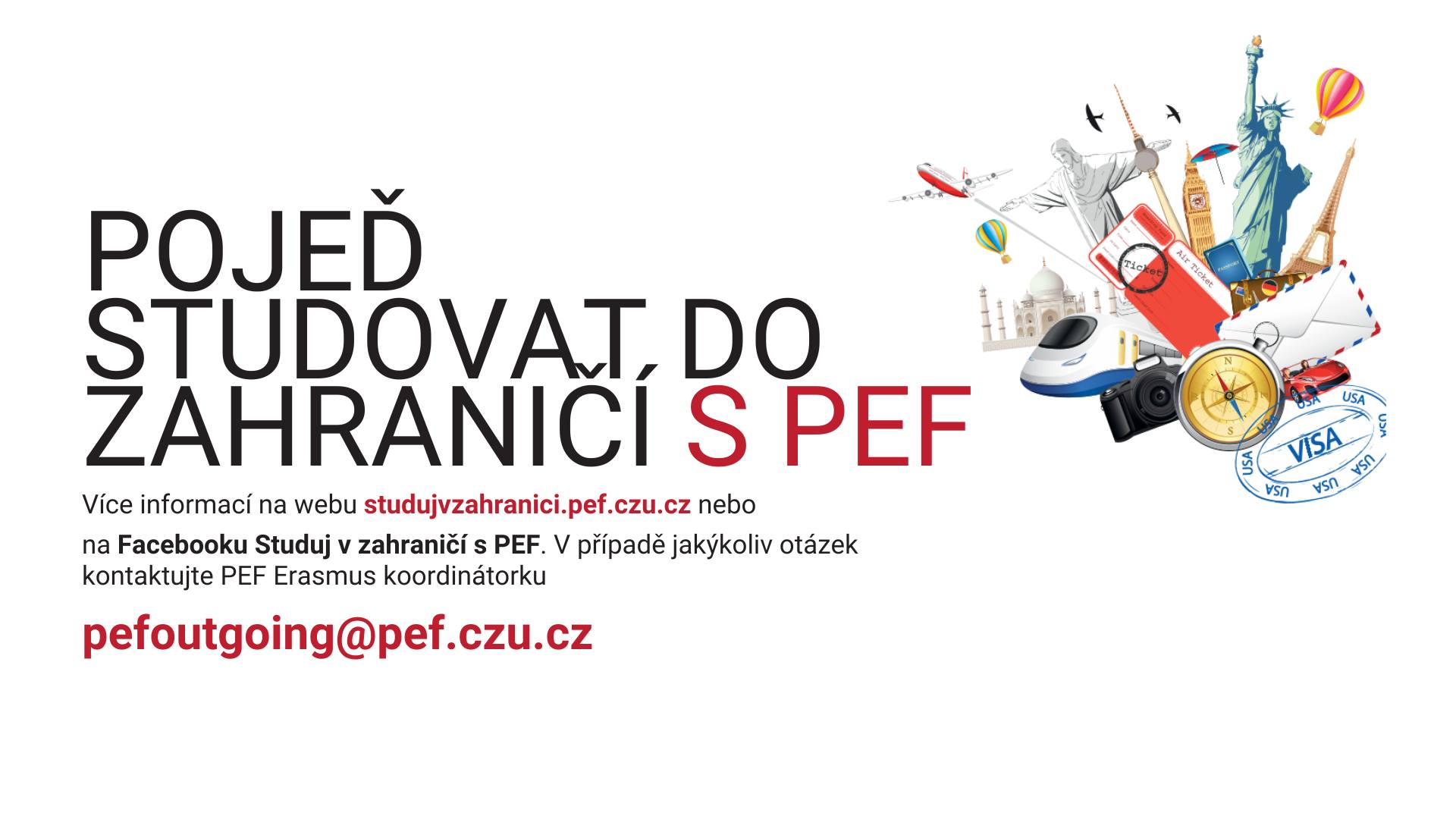 International Day PEF