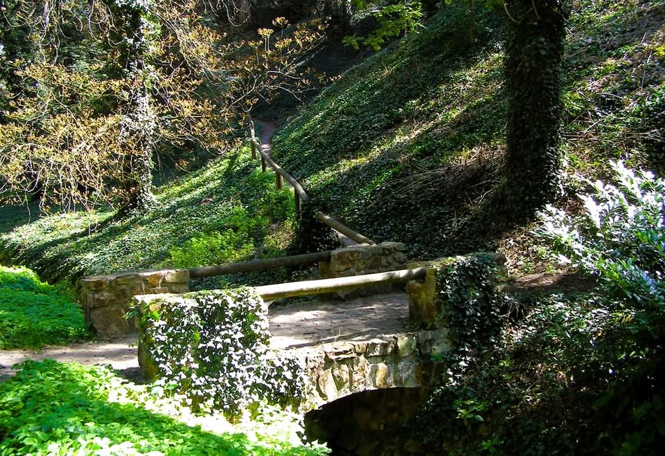 🌿 Jelení příkop pod Pražským hradem – vycházka pro seniory