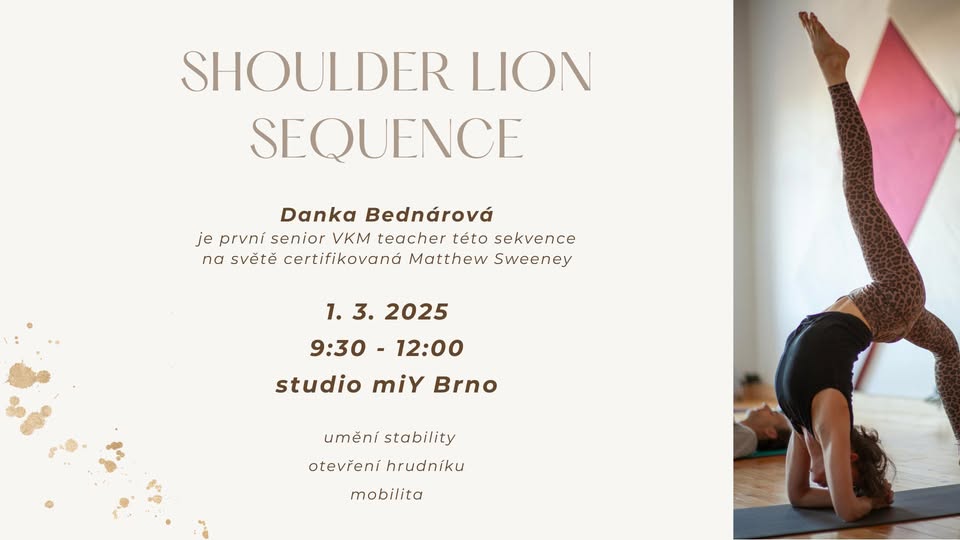 SHOULDER LION SEQUENCE / Danka Bednárová