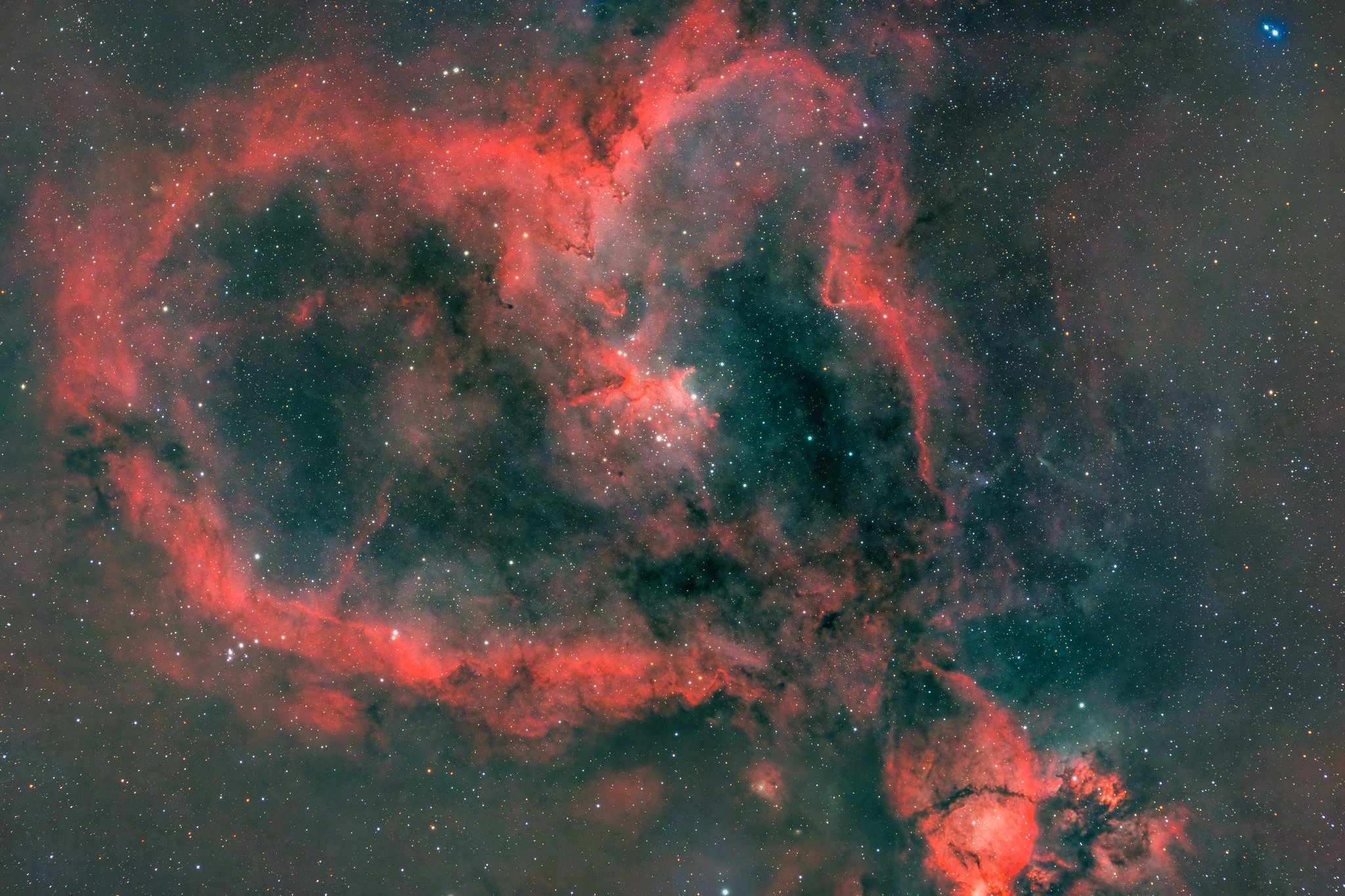 Constellation study and astrophotography exhibition