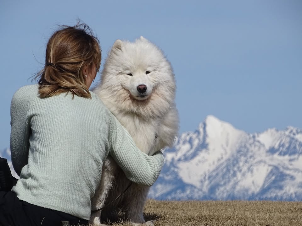 327. Dog Hájking Kutyás Túra (Szlovákia, Rovná hol'a)