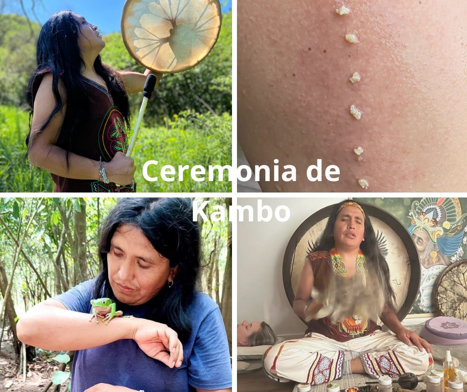 Ceremonia KAMBO