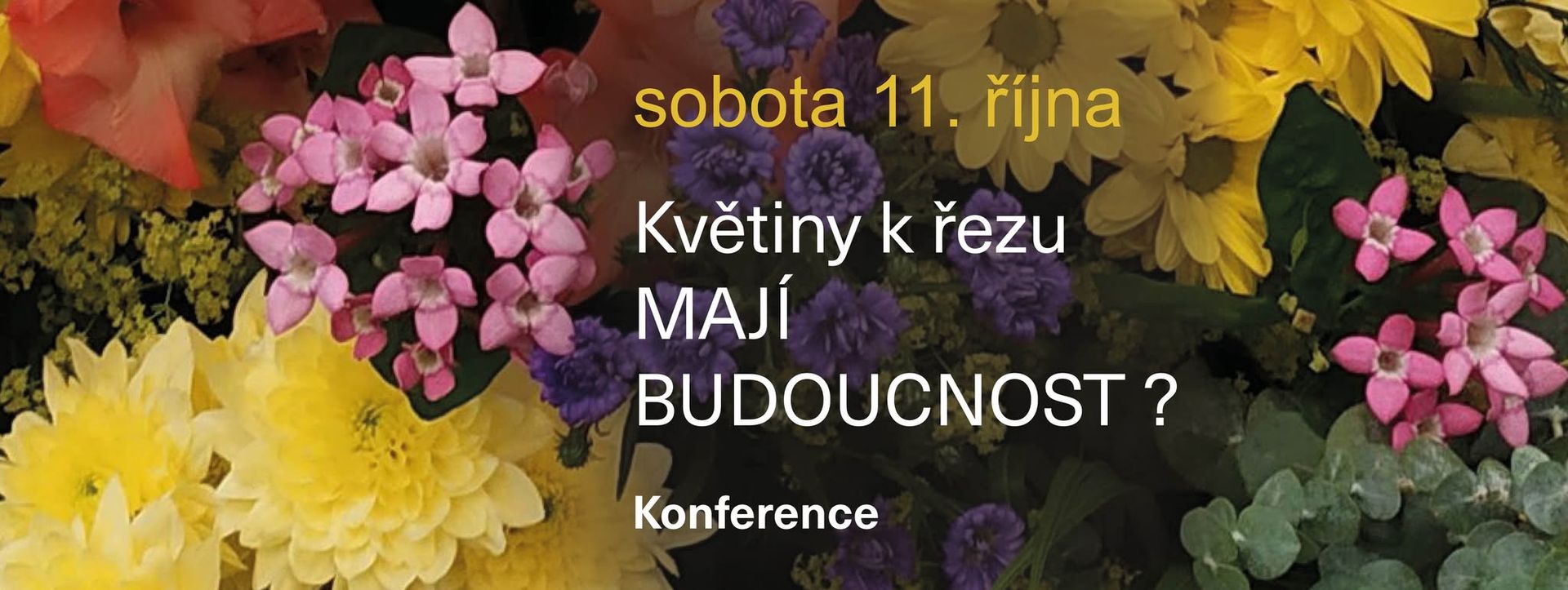 Flowers to cut: Do they have the future?