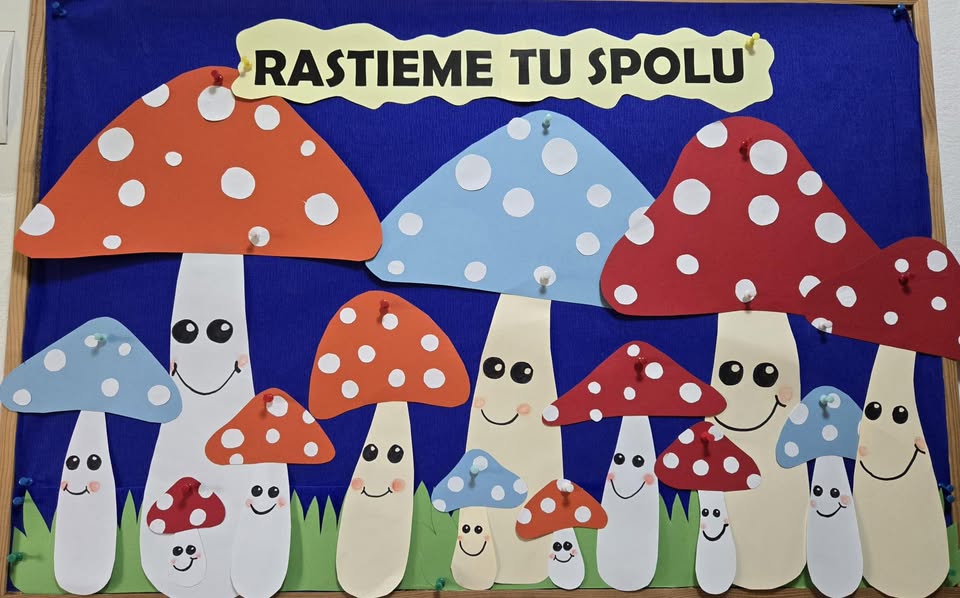 Vianočné fotenie