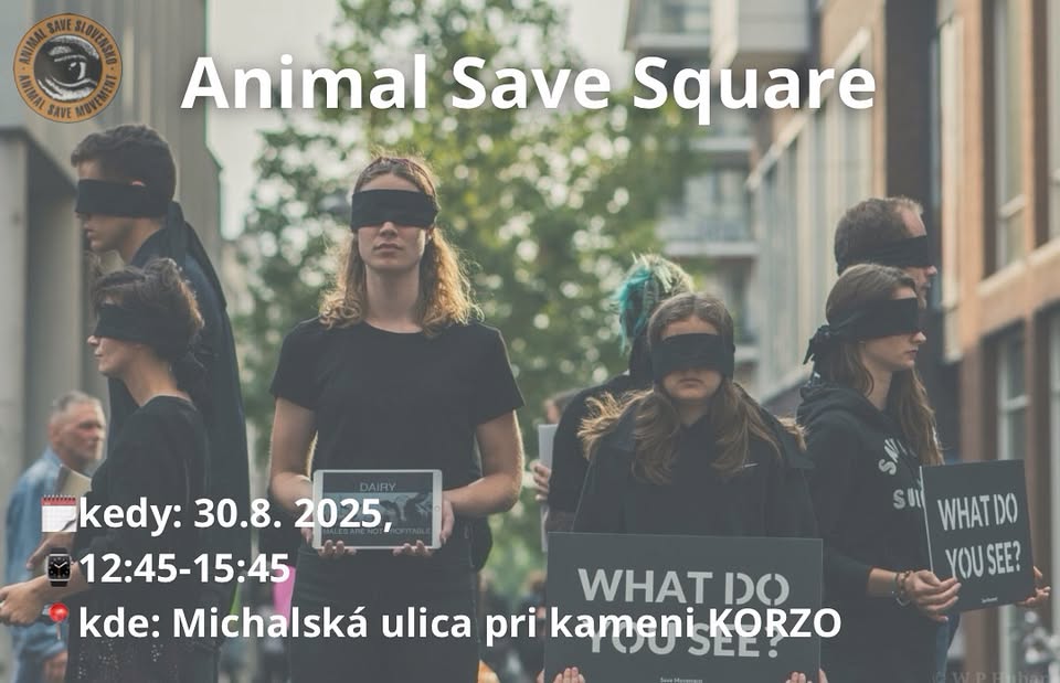 Animal Save Square