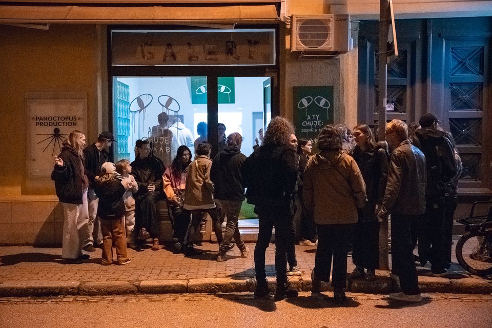 Finisáž :  A ty chuje, zelená a biela