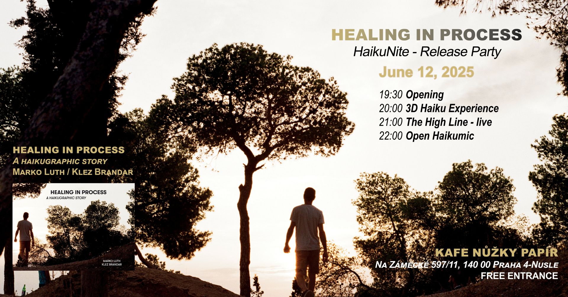 Healing in Process - Release Party