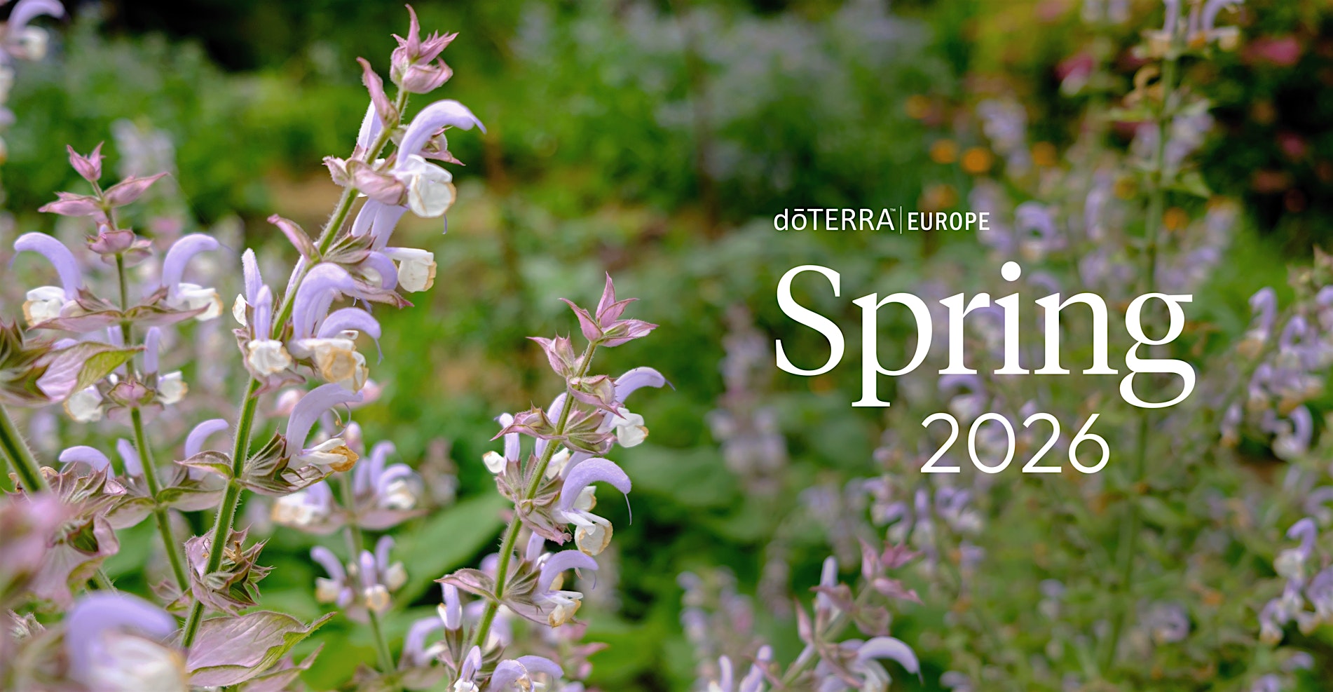doTERRA Day 2026 - Kosice, Slovakia