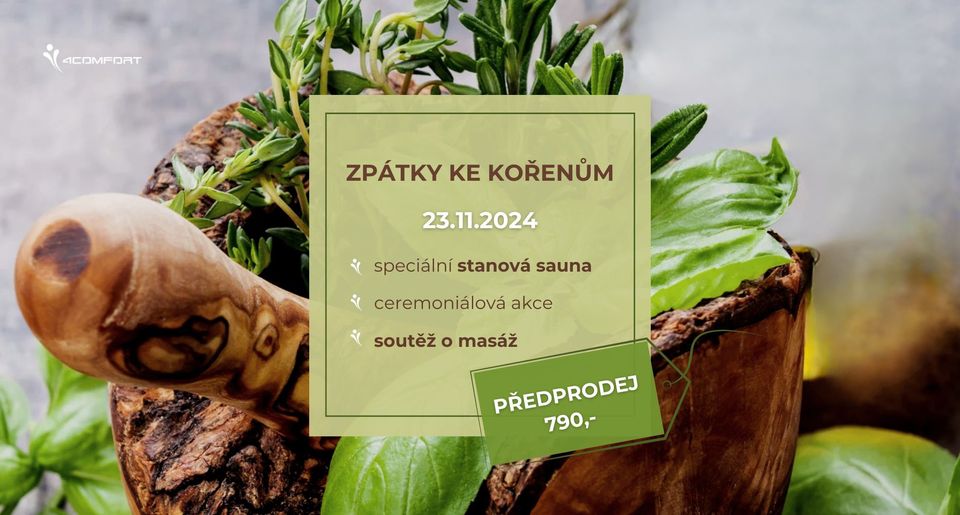ZPÁTKY KE KOŘENŮM