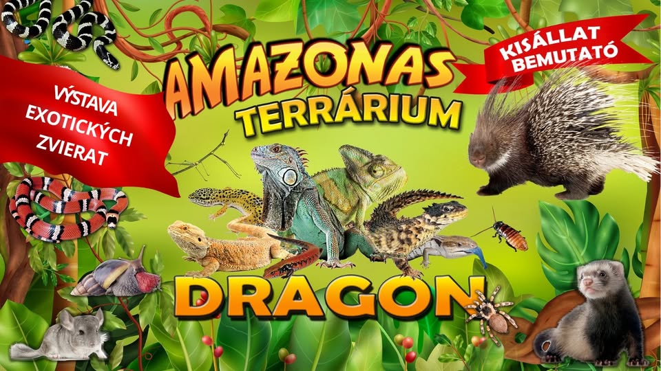 Amazonas terrárium