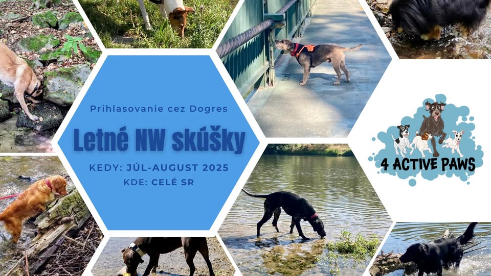 Letné NW skúšky