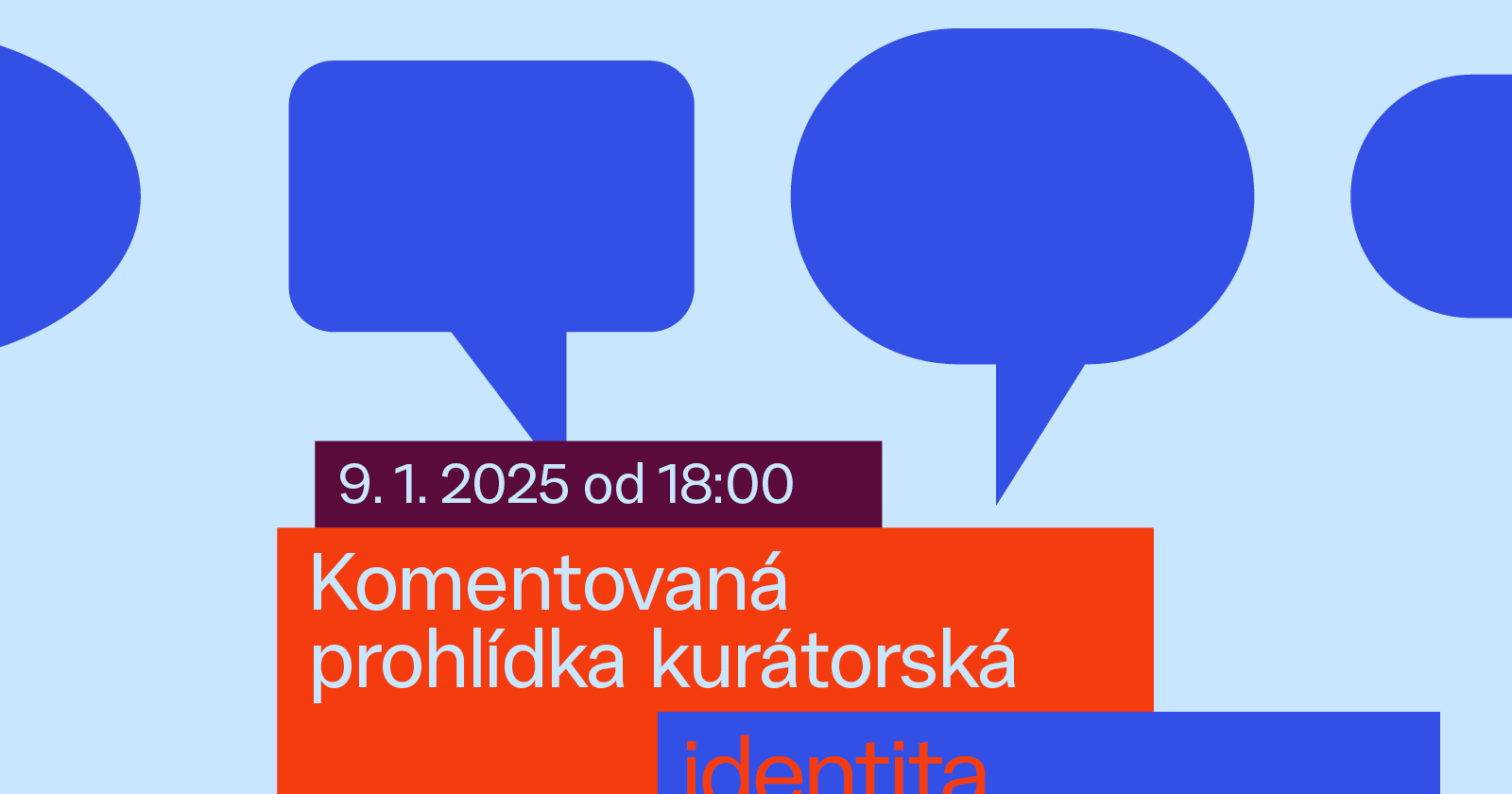 Kurátorská komentovaná prohlídka výstavy Identita