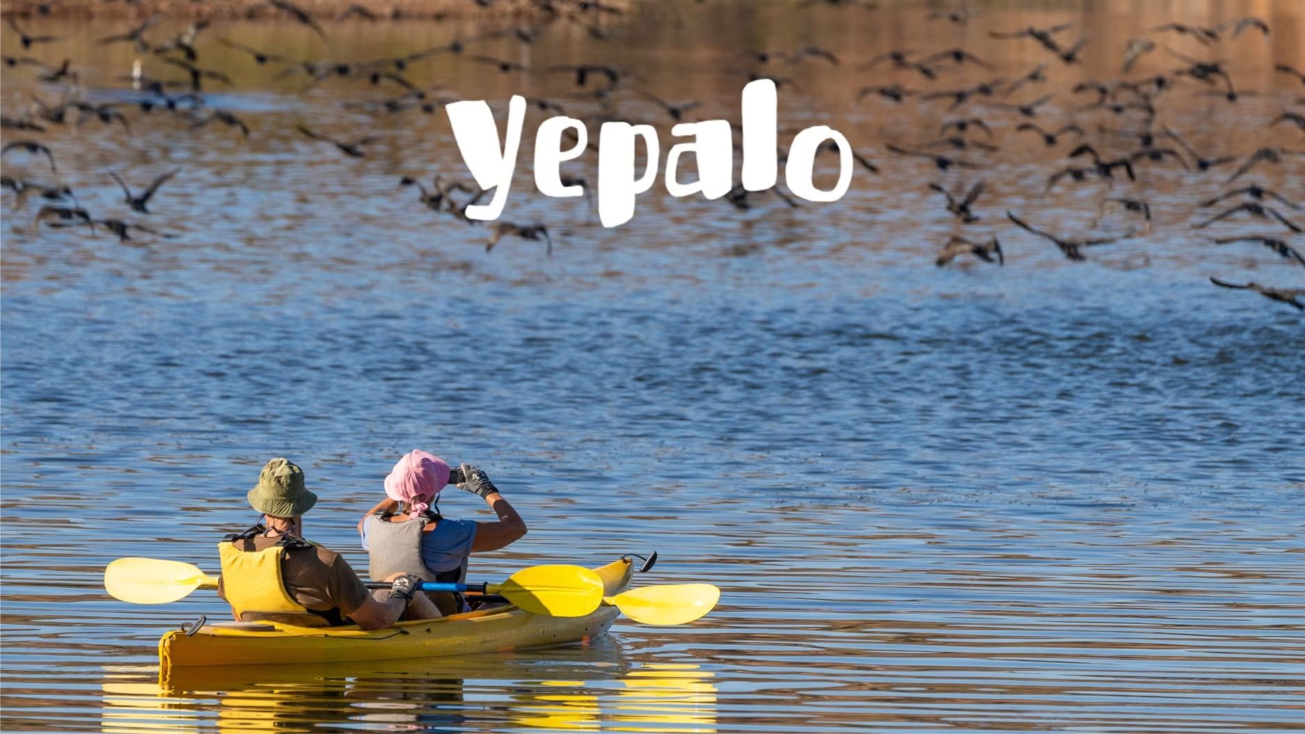 🛶🦅 Ornitokayak @Costa Brava: Nature, Birds & Kayak/Naturaleza, aves y kayak
