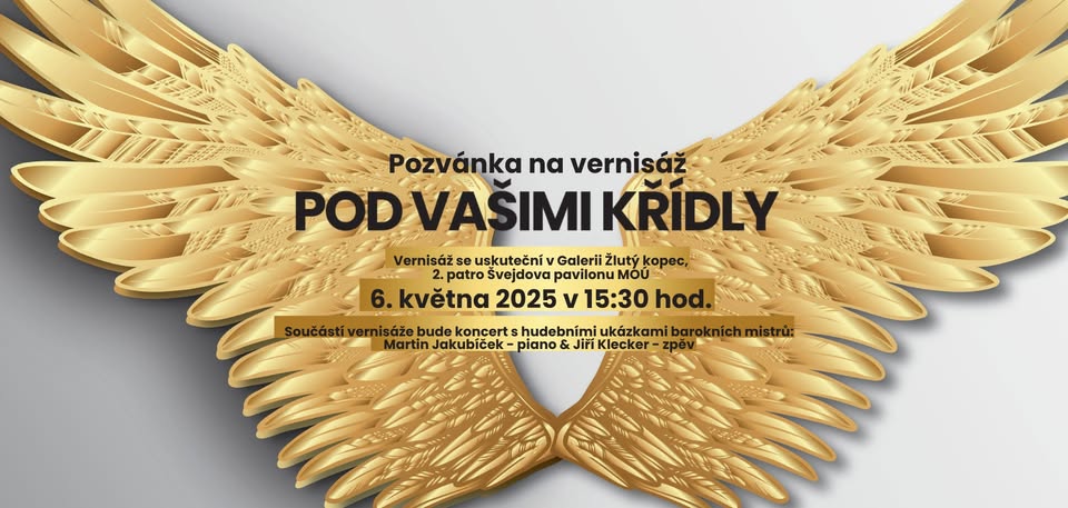 Vernisáž Pod vašimi křídly Brno