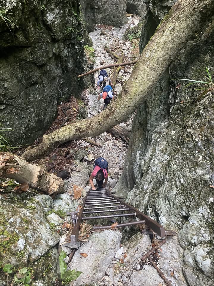 Alpesi szurdokok és rétek