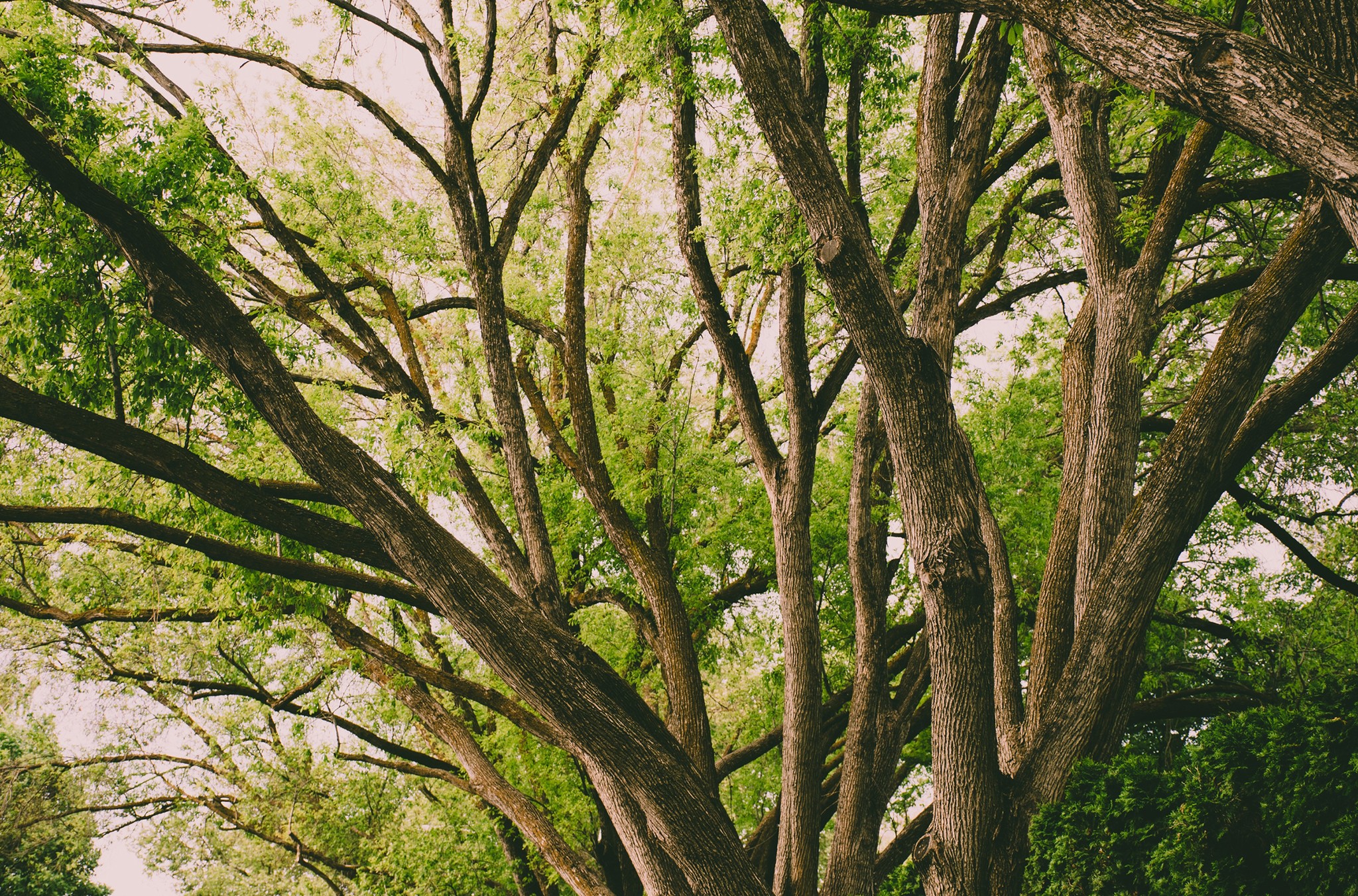 🌿 Workshop Lesní mysli v Kunratickém lese 🌿