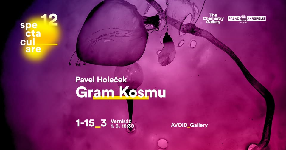 Vernisáž výstavy Gram kosmu - Pavel Holeček | Spectaculare_12