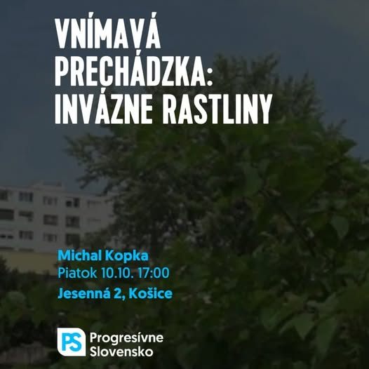 Vnímavá prechádzka: Invázne rastliny