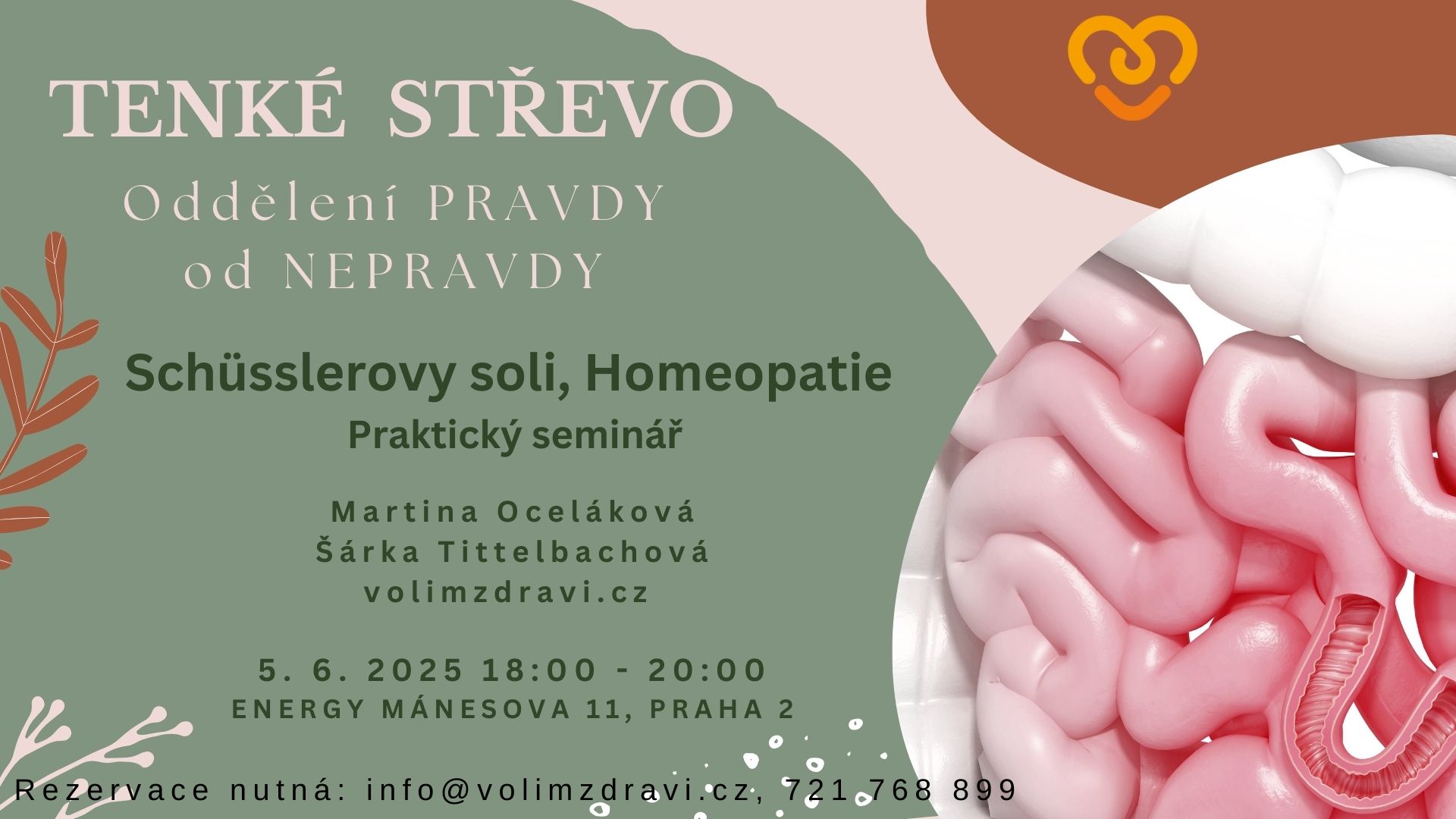 TENKÉ STŘEVO - oddělení PRAVDY od NEPRAVDY
