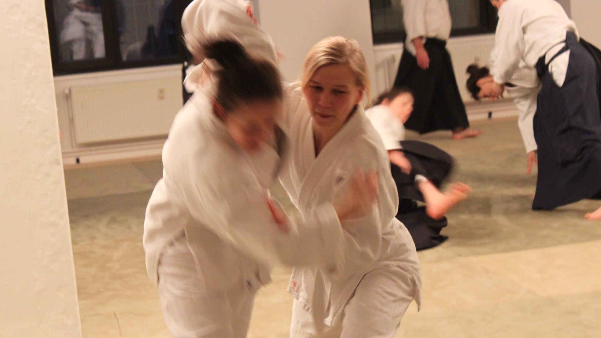 Aikido trial workshop