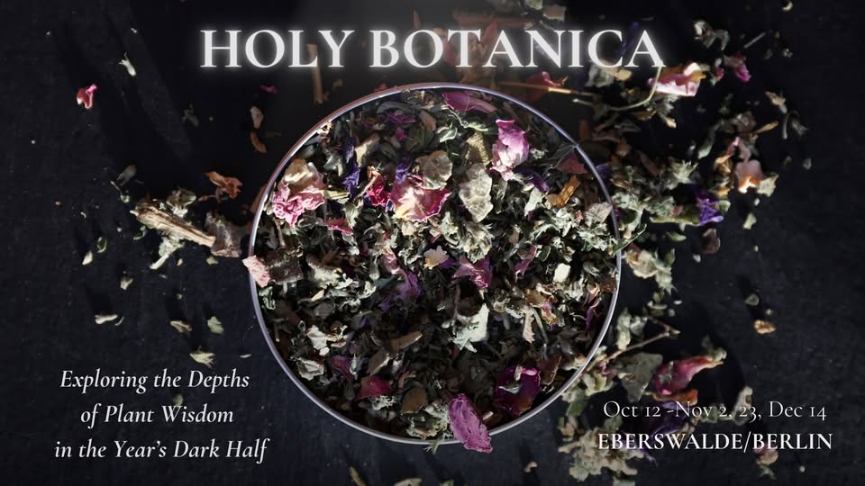 Holy Botanica: Exploring the Depths of Plant Wisdom